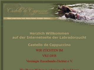 www.labradorzucht-castello.de